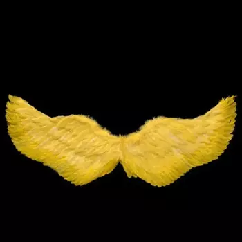 Картонные крылья ангела