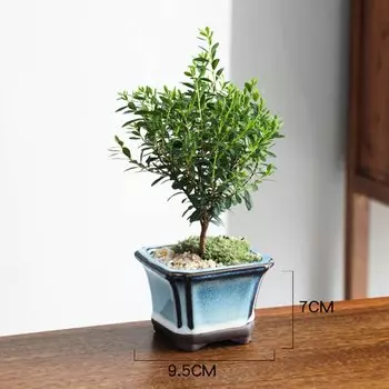 Керамический горшок HEYYES Tianmu синий