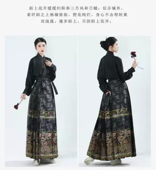 Китайские женские рукава Hanfu Тан и Хань китайские летательные аппараты цельное Плетение Золотой Макияж Цветок лошадь лицо юбка ежедневный поездок