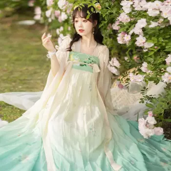Китайский стиль Hanfu платье набор древних женщин Элегантный цветочный Вышивка Вечерние платья костюм ретро традиционный Косплей танцевальный Халат