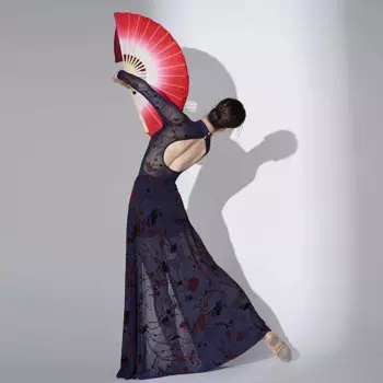 Китайское танцевальное платье, Женский сетчатый чонсам, Классическая танцевальная одежда, Сказочная праздничная одежда, сценический костюм, Lyrical танцевальная одежда JL4553