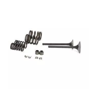 Клапан цилиндра мотоцикла, впускной и выпускной клапан, пружинное уплотнение для Yamaha TRI-MOTO YTM225 TTR225 SEROW XT225