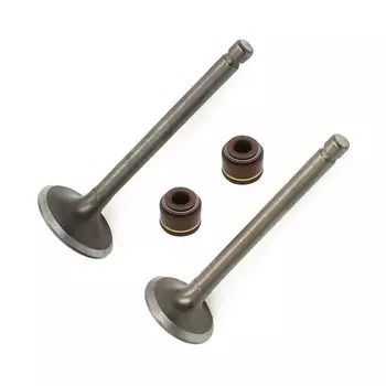 Клапаны впускного клапана двигателя мотоцикла, уплотнения выхлопного клапана для Yamaha Гризли Raptor 80 YFM80 YFM 80 Badger 80 Raptor 80 YFM80W YFM100