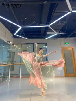 Классический танцевальный костюм, женский топ, большая юбка