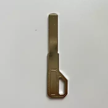 Ключи-эмбрионы для замка отпечатков пальцев TSNEW