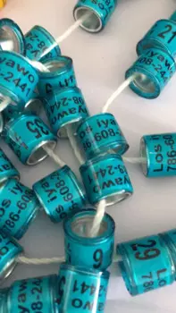 Кольца для голубей, на заказ, 100 шт.