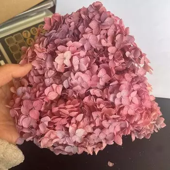 Консервированные цветы гортензии NYAConfetti
