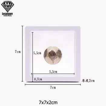 Коробка для хранения ювелирных изделий Lesaiyarr