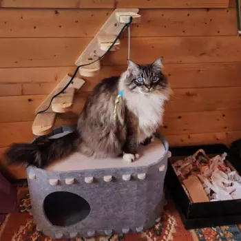 Кошачий сагайдак, гамак для кошек 2 в 1, устойчивая к царапинам кошачья кровать, пещера, складная ходы для кошек, питомник, просторный для 2 кошек