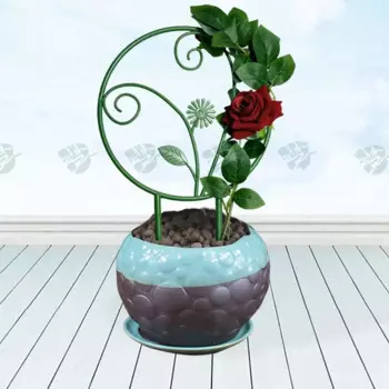 Креативные решетки для растений высокого качества, простой прочный садовый декор для выращивания растений в горшке