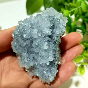 Кристалл хризантема флюорит EBET