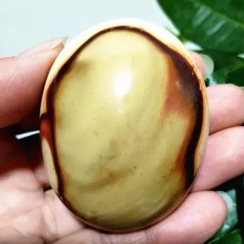 Кристалл океанская пальма EBET