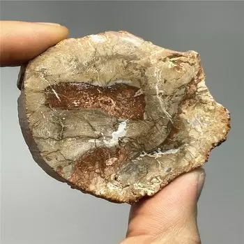 Кристаллический лак WEI HONG из Мадагаскара