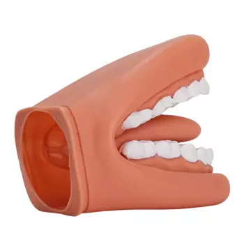 Кукла ротовая с языком для детей, кукла ротовая для речевой терапии, с зубной щеткой