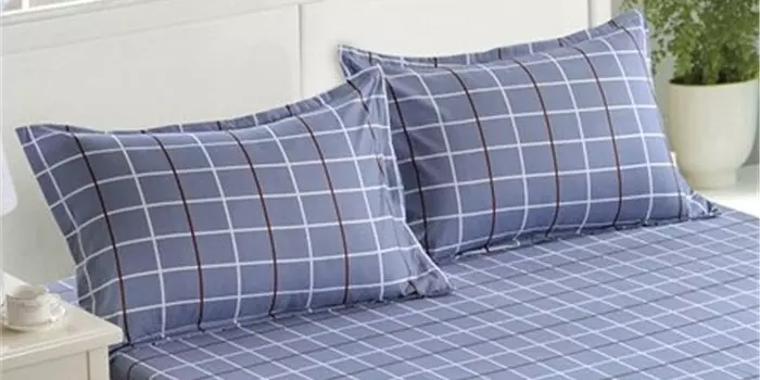 LAGMTA Наволочки из полиэстера 2 шт.