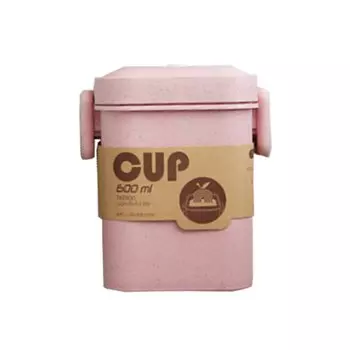 Ланч-бокс из пластика