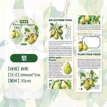 Лента для скрапбукинга Journal GO с фруктами 6x200 см