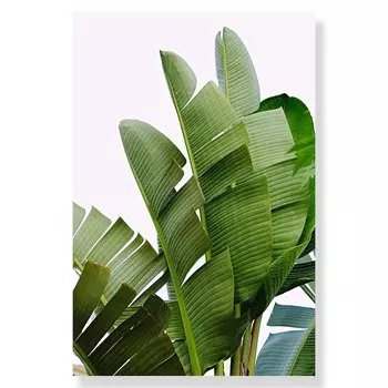 Летний морской пейзаж, АлиПэинт