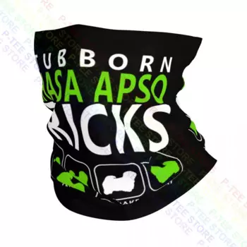 Lhasa Apso трюки, упрямая, садиться, встряхнуть, поймать шею, гетры, бандана, шарф, маска для лица, пылезащитная