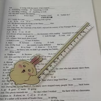 Линейка Chiikawa Hachiware MINISO 15 см