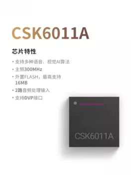 Lingsi CSK6 серии AI chip CSK6011A/CSK6012