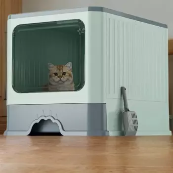 Лотки и лотки для туалета для кошек Самоочищающаяся песочница Автоматические аксессуары для котят Закрытые песочные ящики Arjanuary Товары для домашних животных