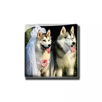 Магниты для холодильника EQJJYPOC квадратные стеклянные