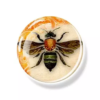 Магниты для холодильника EQJJYPOC животные стеклянный купол