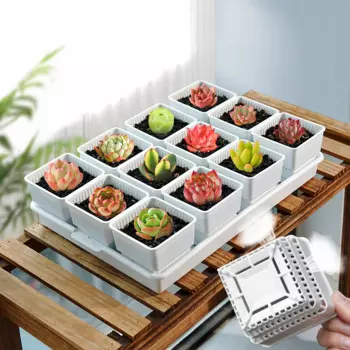 MESHPOT Пластиковый сетчатый горшок для суккулентов