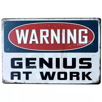 Металлическая табличка Denim Meow "Предупреждение Гений на работе"