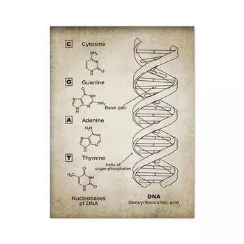 Микробиологические бактерии плакат dulike