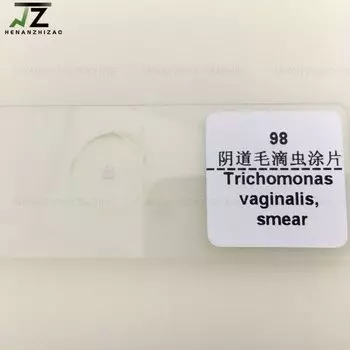 1 шт. Trichomonas Vaginalis Smear, человеческие паразиты слайды подготовленные для микроскопа для продажи