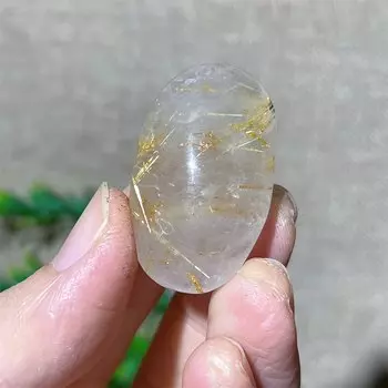 Миниатюрная рутиловая пальма DriB