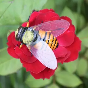 Миниатюрные глиняные пчелы AHSNME 2 шт.