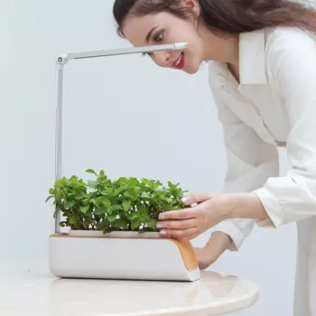 Minigarden внутренняя плантация для выращивания растений в саду, садовые горшки, гидропонная система