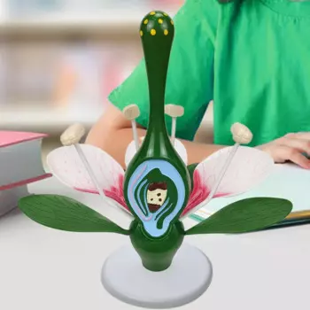Модель Цветка Dicot, цветок персика, модель для домашнего декора, учебные пособия, учебные принадлежности, учебный инструмент