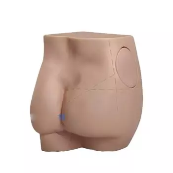 Модель для тренировки инъекций ягодиц PLLCUTE