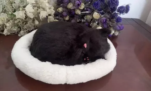 Модель дышащего кота, черная Спящая кошка с ковриком, модель, украшение, подарок, около 26 см