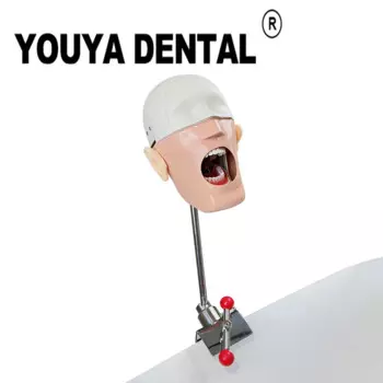 Модель головы, зубной имплантат Phantom Manikins, обучающая модель для стоматолога, студенческая практика, инструмент для демонстрации ротовой медицины