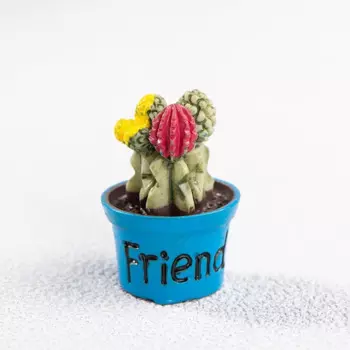 MOONBIFFY Минималистичный кактус из смолы