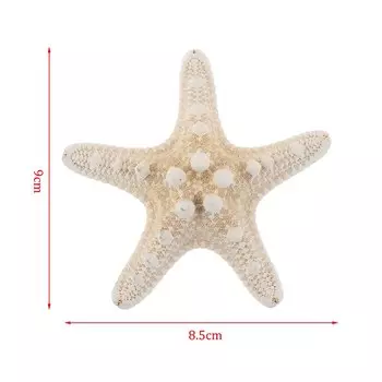Морские звезды для декора WHPHous