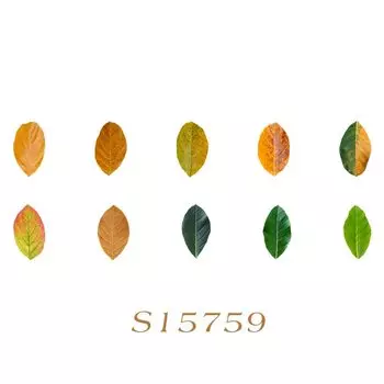 Mr.paper эстетические листья наклейки для ленты