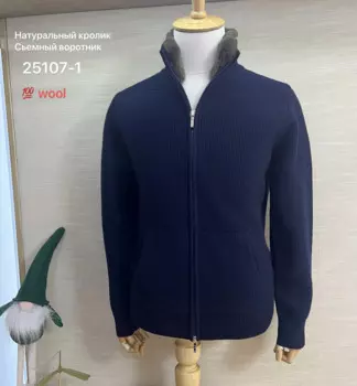 Мужская шерстяная куртка на молнии, осень 2025