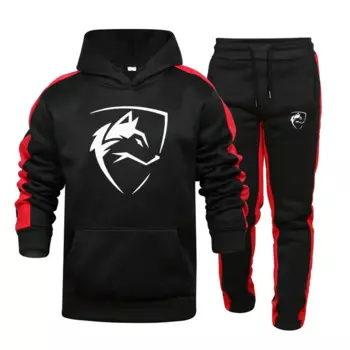 Мужской спортивный костюм ALPHALETE, комплект одежды, толстовка с капюшоном и принтом, флисовая толстовка на молнии и брюки, повседневный костюм