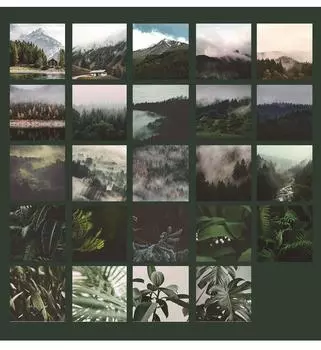 Набор бумажных наклеек «Глубокий лес» Gimue