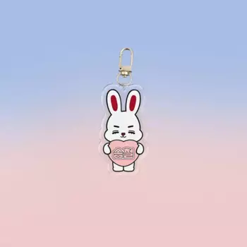 Набор из 13 акриловых брелков Kpop Seventeen Shengbide