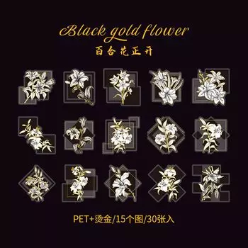 Набор из 30 ретро наклеек Mengtai