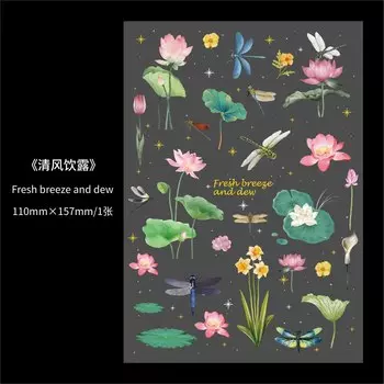 Набор наклеек Gimue