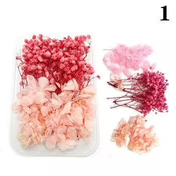 Набор прессованных цветов KuZHEN для эпоксидной смолы