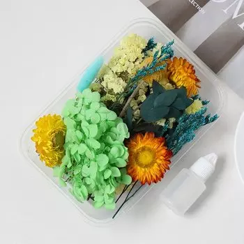 Набор сухоцветов MOONBIFFY для декора